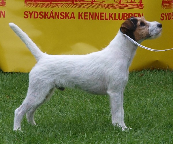Vackra Bölle