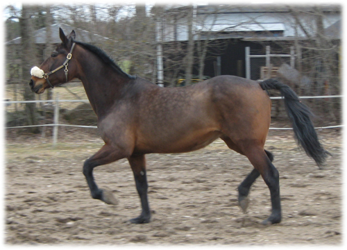 Mimosa Simb, född 1996